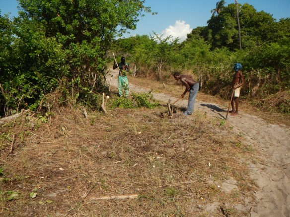 ???????????????????????????????