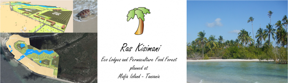 Ras Kisimani Eco Lodge