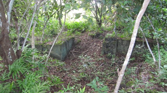 mafia201404janschnitzler 045