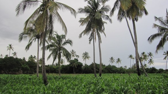 mafia201404janschnitzler 087